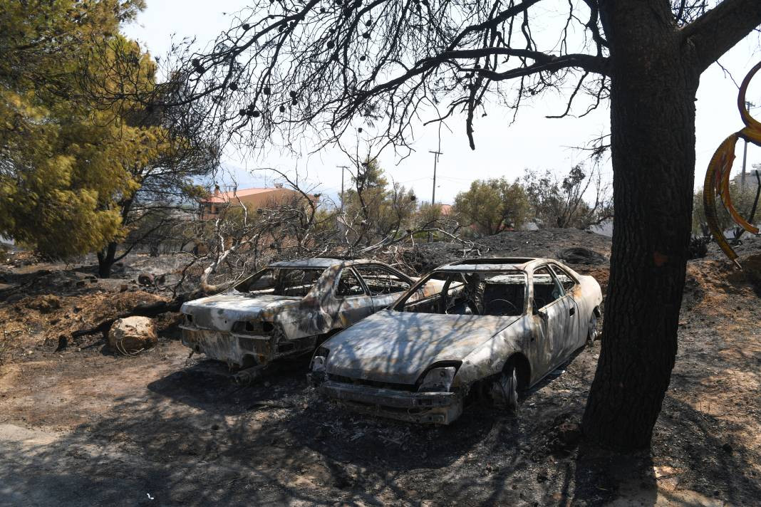 Meriç Bölgesi'nde yanan ormanlık alanda ceset bulundu - Resim: 10